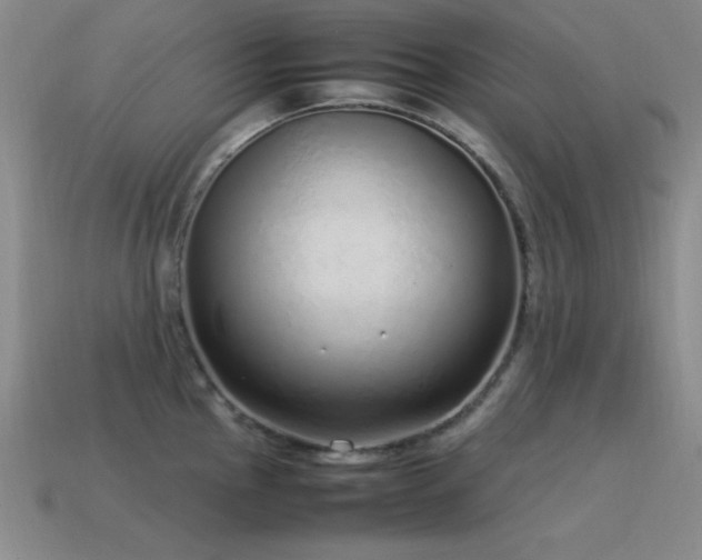 X0000115501145200911061322