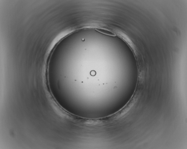 X0000115501146200911061322