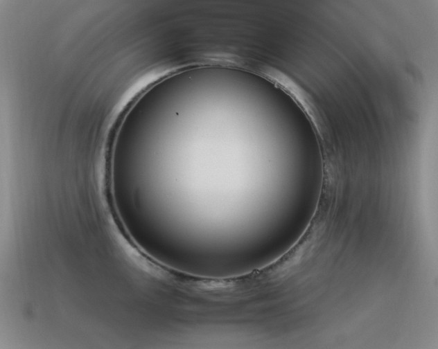 X0000115501147200911061322