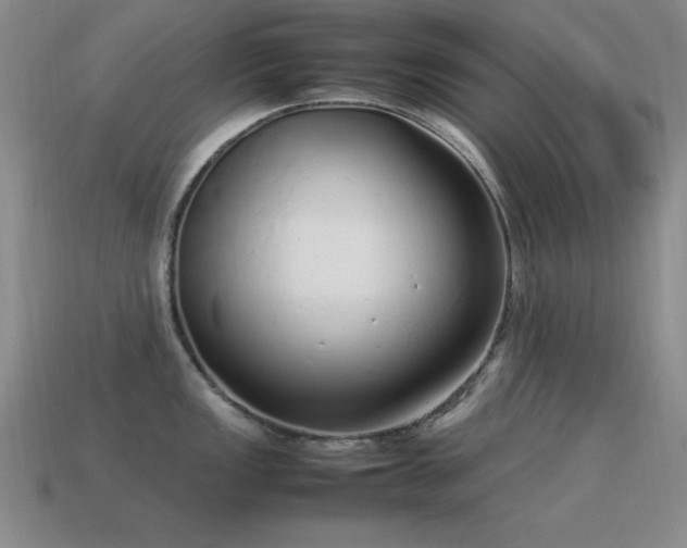 X0000115501149200911061322