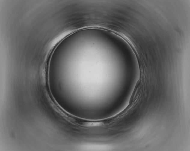 X0000115501151200911061322
