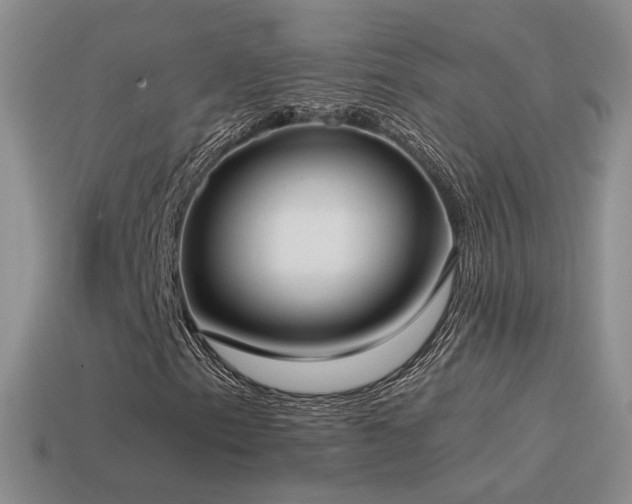 X0000115501153200911061321