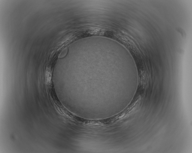 X0000115501154200911061321
