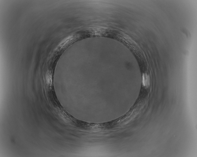 X0000115501155200911061321
