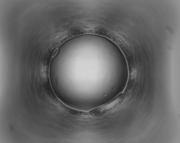 X0000115501156200911061321