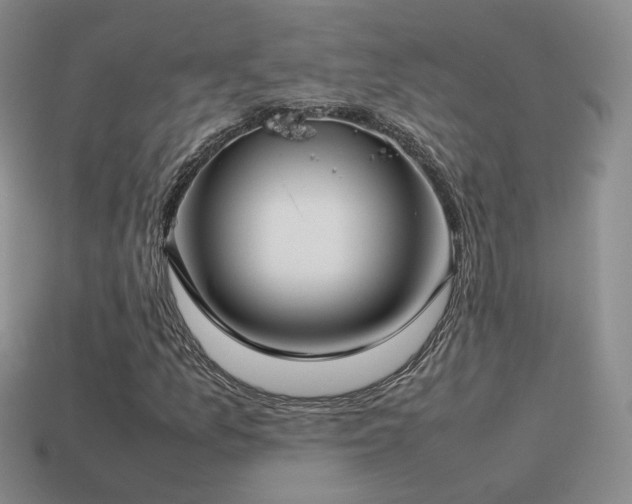X0000115501157200911061321