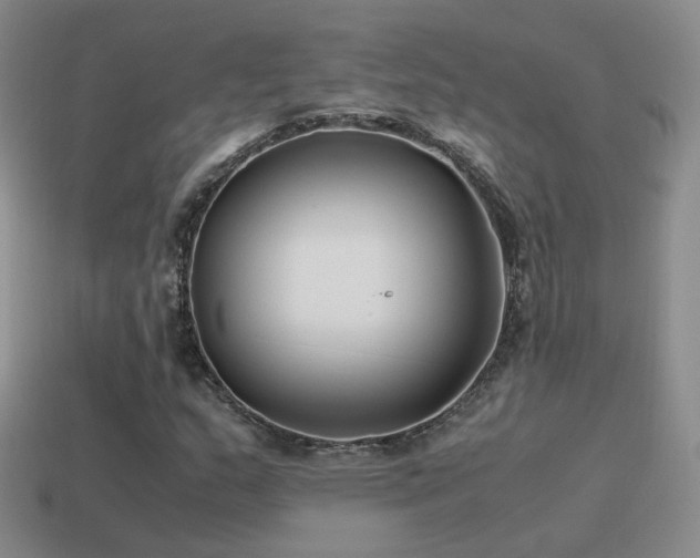 X0000115501159200911061321