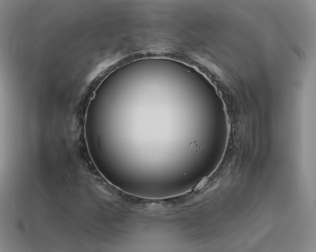 X0000115501160200911061321
