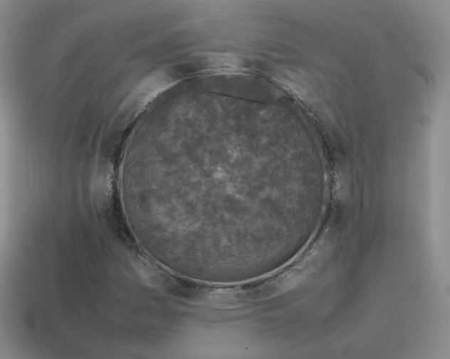 X0000115501161200911061321