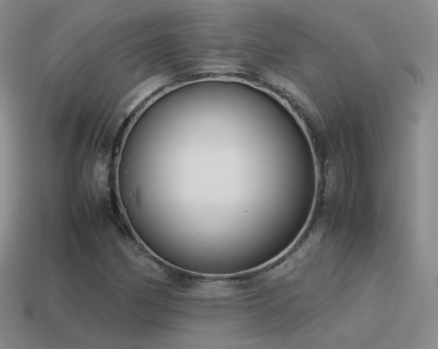 X0000115501162200911061321