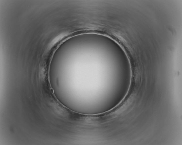 X0000115501163200911061321
