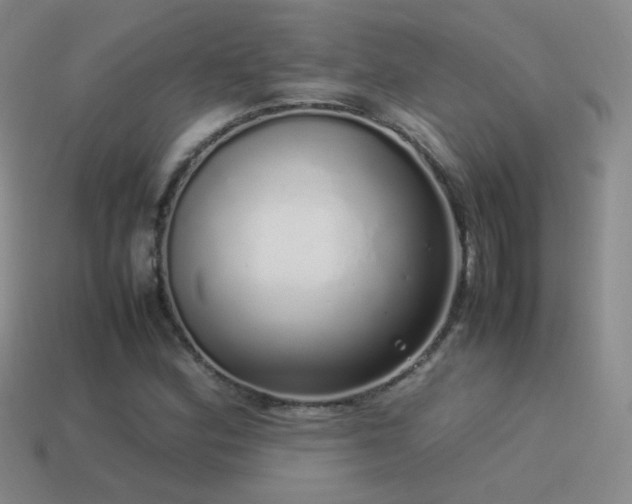 X0000115501164200911061321