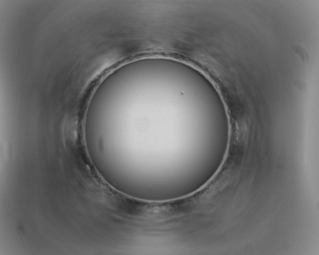 X0000115501165200911061321