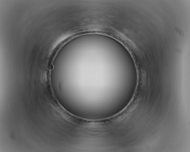 X0000115501166200911061321