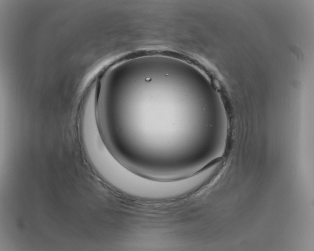 X0000115501167200911061321