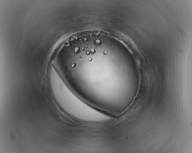 X0000115501168200911061321
