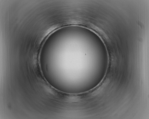 X0000115501170200911061321
