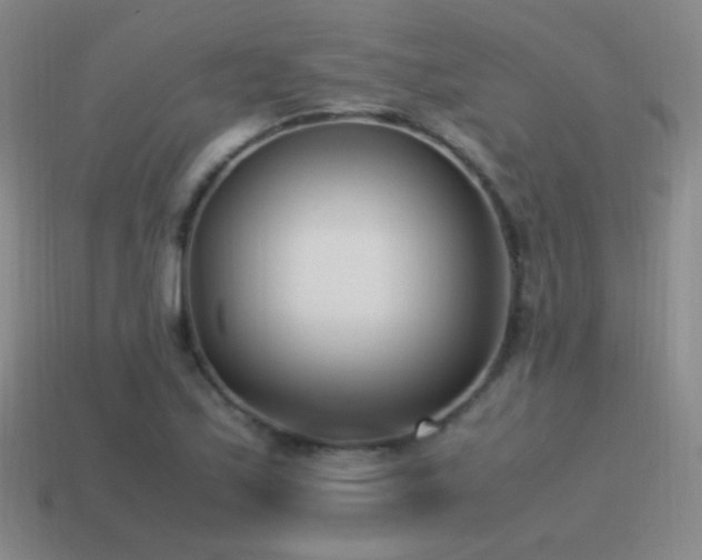 X0000115501171200911061321