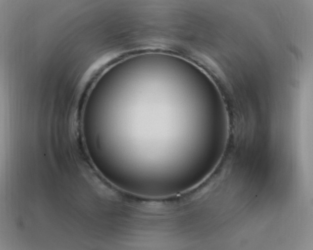 X0000115501172200911061321
