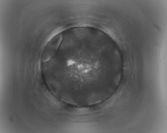 X0000115501173200911061321