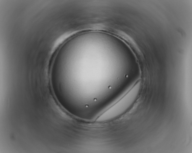 X0000115501176200911061321