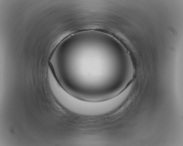 X0000115501177200911061321