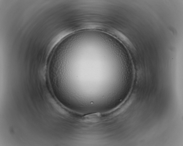 X0000115501178200911061321