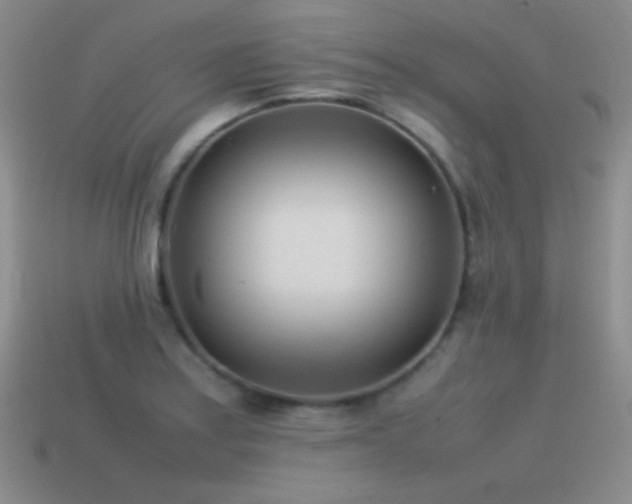 X0000115501179200911061321