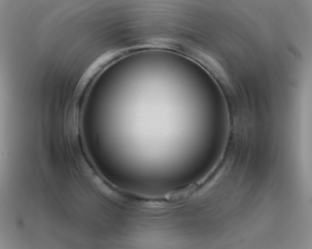 X0000115501180200911061321