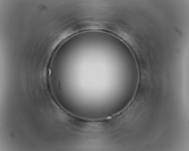 X0000115501181200911061321