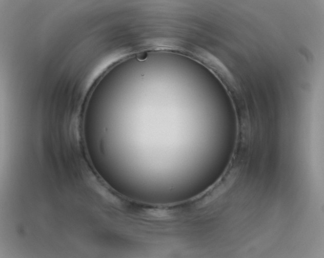X0000115501182200911061321