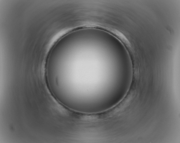 X0000115501183200911061321