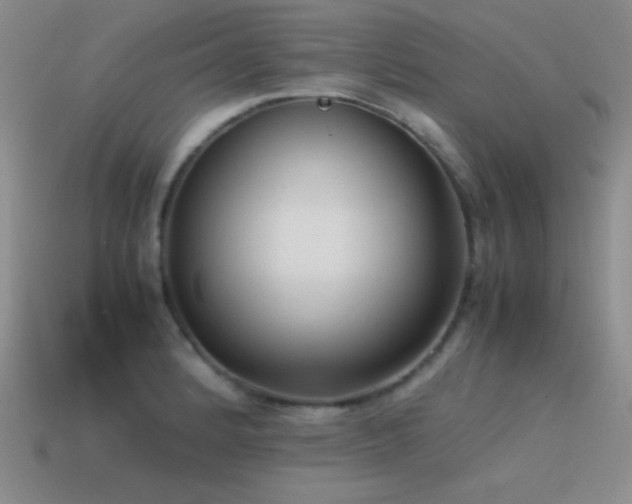 X0000115501184200911061321