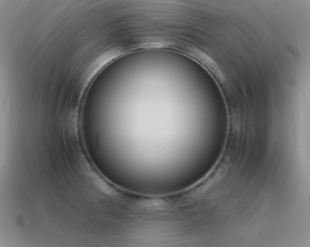 X0000115501186200911061321