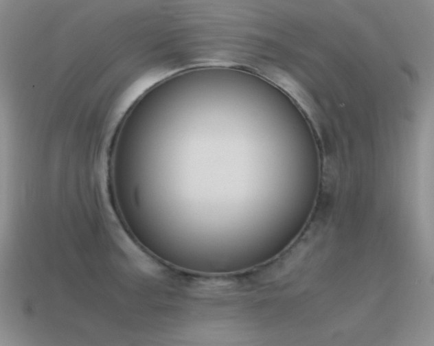 X0000115501187200911061321