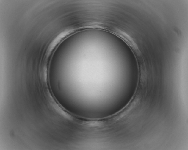 X0000115501188200911061321
