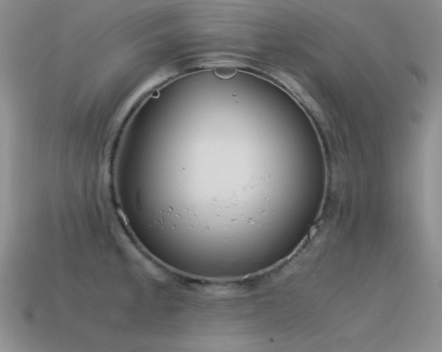 X0000115501189200911061321
