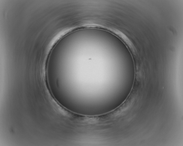 X0000115501191200911061321