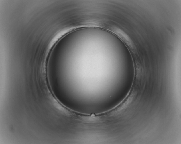 X0000115501192200911061321