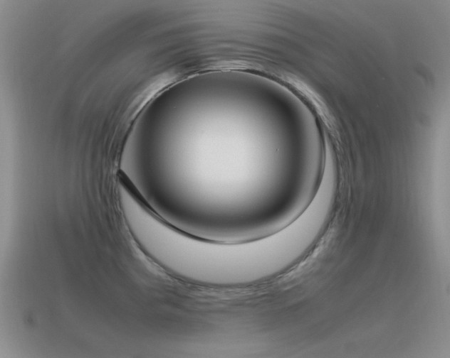X0000115501193200911061321
