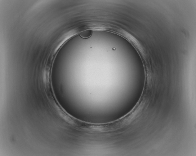 X0000115501194200911061321