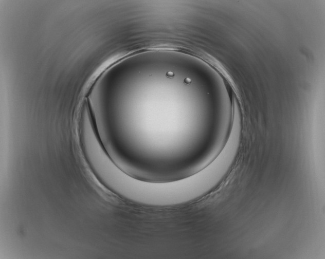X0000115501195200911061321