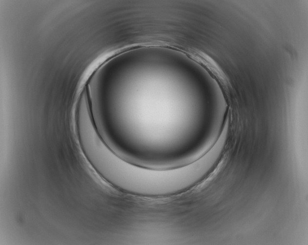 X0000115501196200911061321