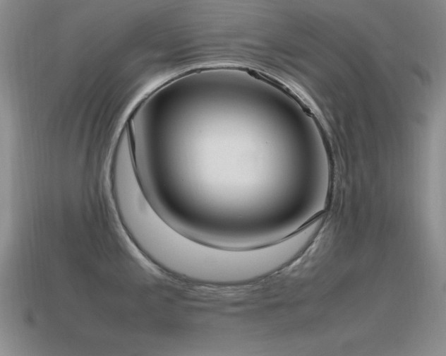 X0000115501197200911061321