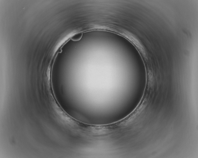 X0000115501198200911061321