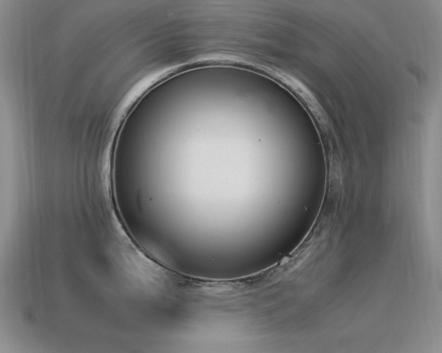 X0000115501199200911061321