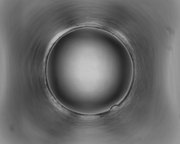 X0000115501200200911061321