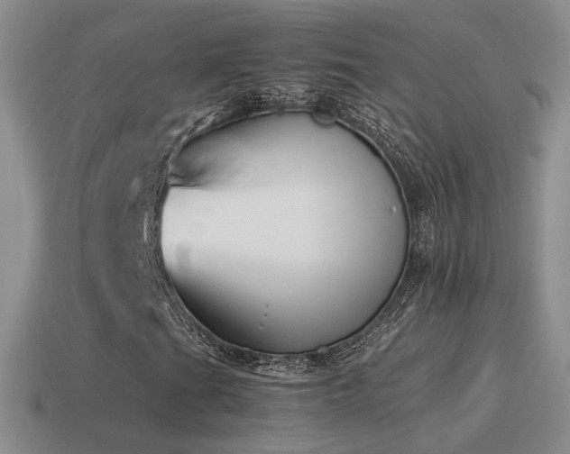 X0000115501201200911061320