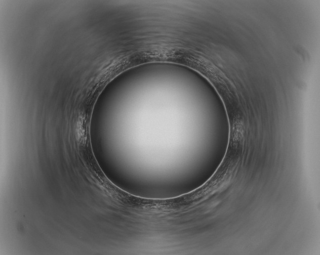 X0000115501202200911061320