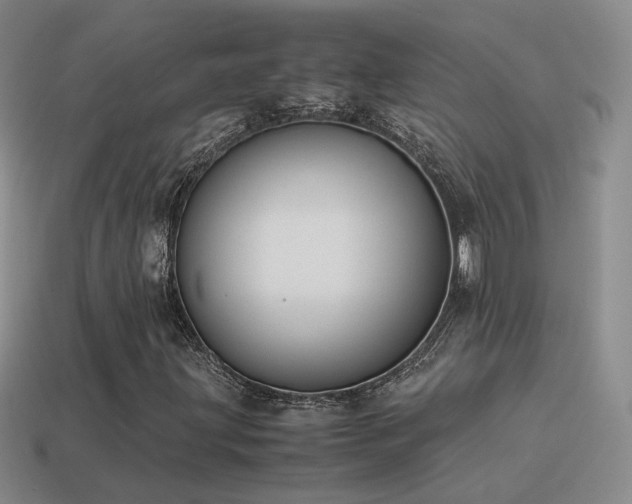 X0000115501203200911061320